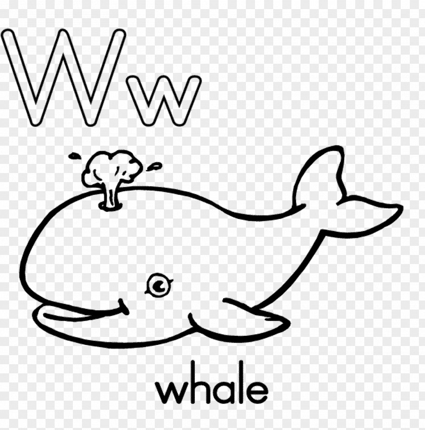 Whale Coloring Book Alphabet Letter W Educational Game PNG