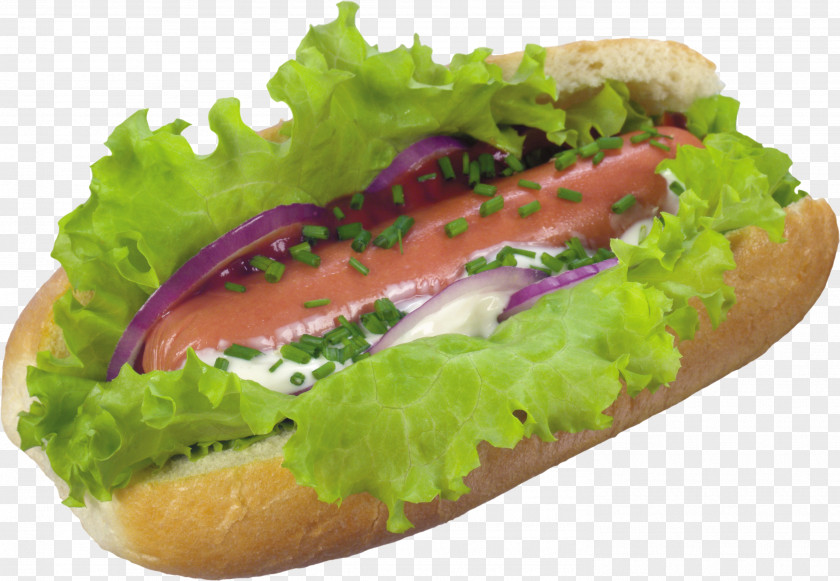 CBD Hot Dog Fast Food Hamburger Shawarma Breakfast Sandwich PNG