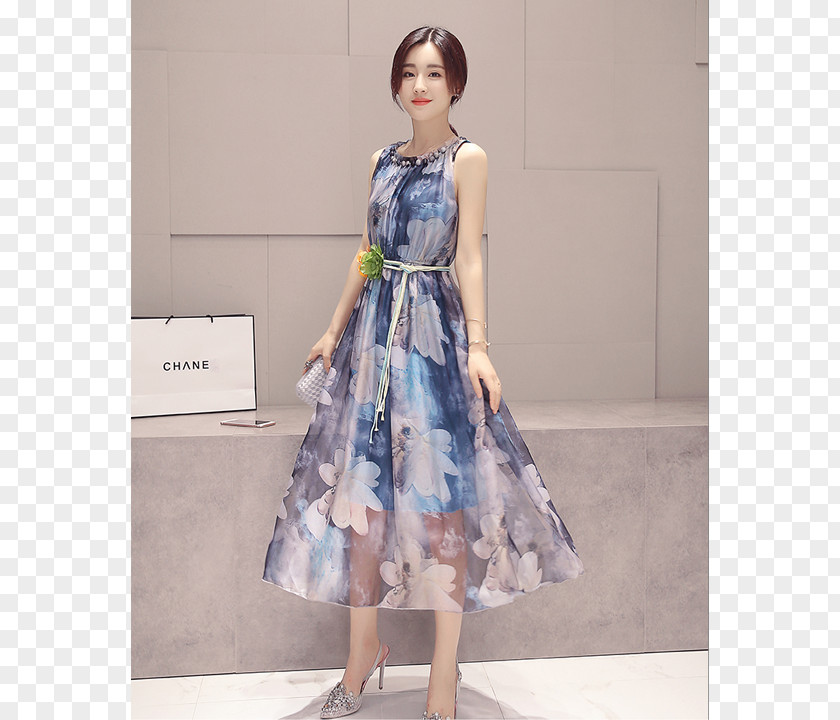 Dress ワンピース Chiffon Resort Fashion PNG