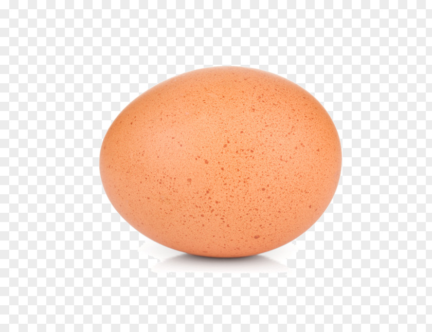 Egg Garden Lighting Chicken PNG