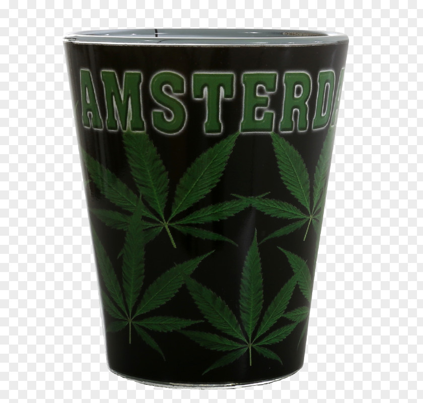 Glass Pint Flowerpot Cup Mug PNG