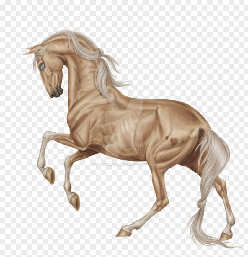 Hainan Stallion Hanoverian Horse Breyer Animal Creations Mustang Model PNG