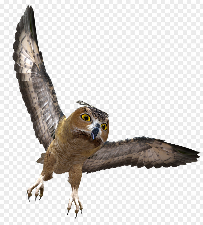 Owl In Flight Clipart Clip Art PNG