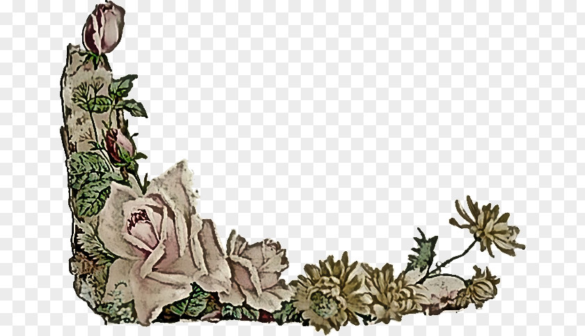 Plant Flower PNG