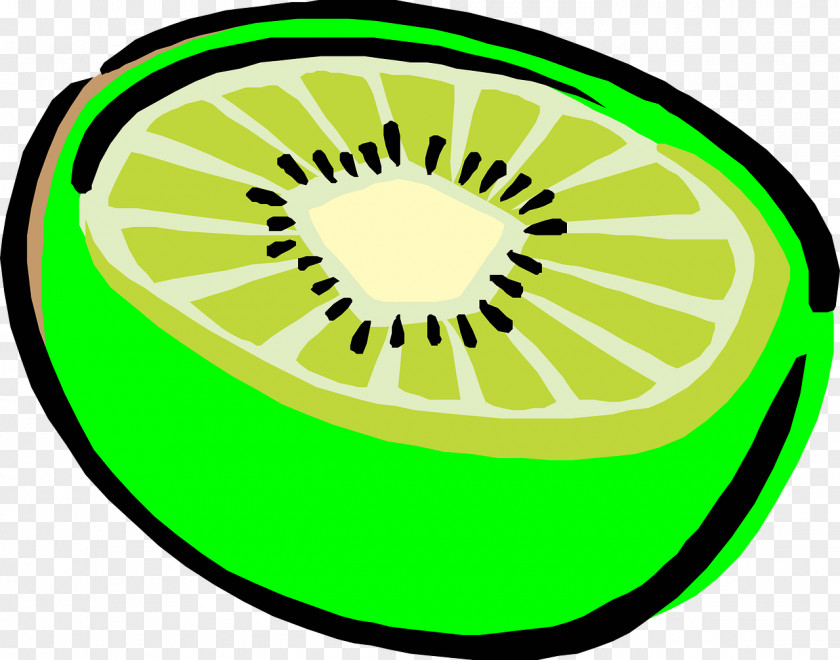 Kiwis Picture Kiwifruit Drawing Clip Art PNG