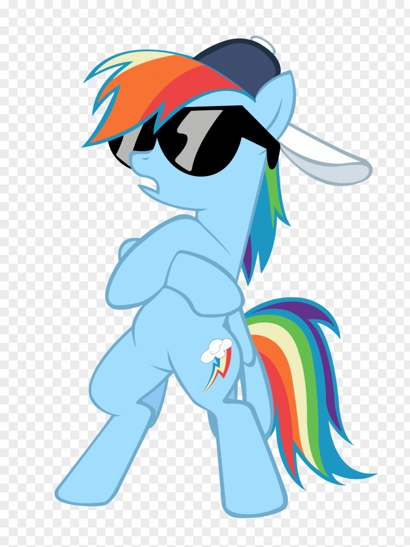 Rainbow Dash Pony Applejack Fluttershy PNG