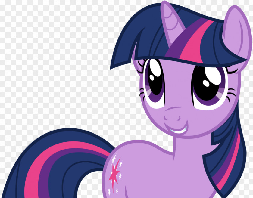 Sparkles Vector Twilight Sparkle Rarity Rainbow Dash Pony Applejack PNG