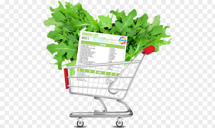 Vegetable Plant Shopping Cart PNG