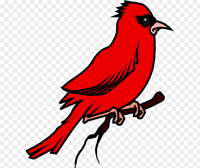 Bird Food Baths Northern Cardinal Animal PNG