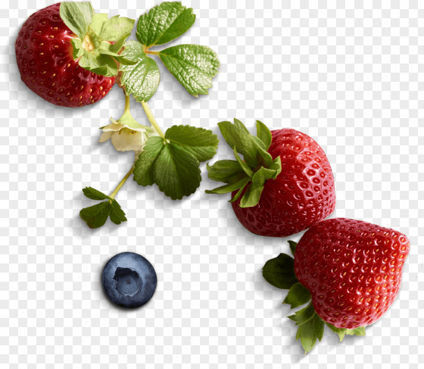 Blueberries Shortcake Cupcake Strawberry Raspberry PNG