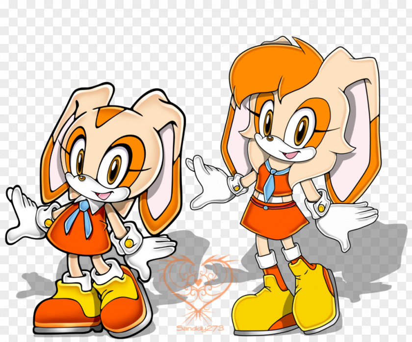 Cream Rabbit The Amy Rose Shadow Hedgehog Sonic Free Riders Battle PNG
