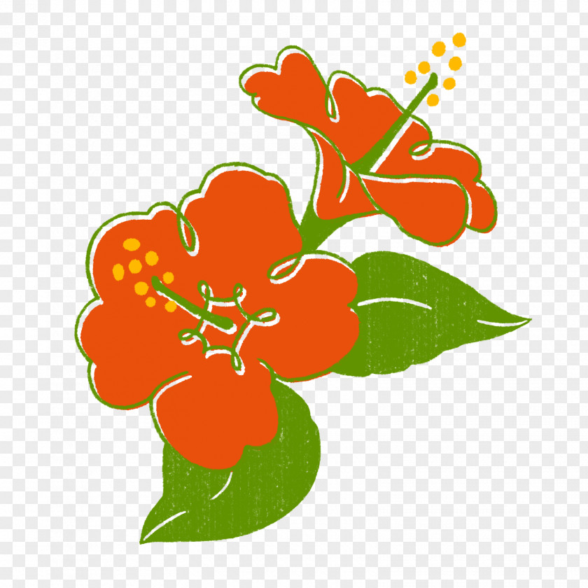 Design Floral Cut Flowers Petal Plant PNG