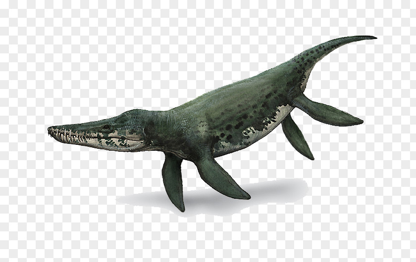 Dinosaur Kronosaurus Albian Velociraptor Dilophosaurus PNG