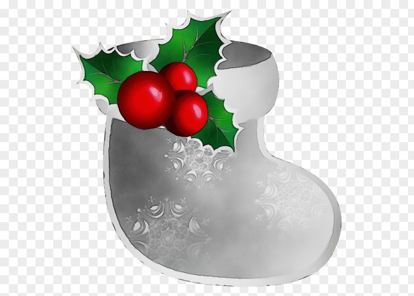 Fruit Plant Holly PNG