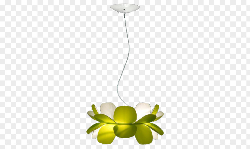 Green Lotus Lamp Lighting Light Fixture Pendant Electric PNG