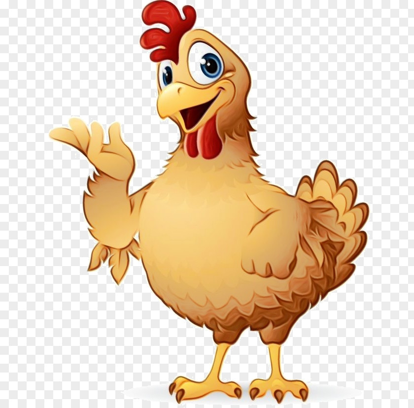 Livestock Beak Chicken Bird Rooster Cartoon PNG