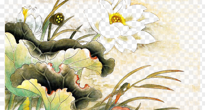 Lotus Pond Nelumbo Nucifera Ink Wash Painting Chinese Gongbi PNG