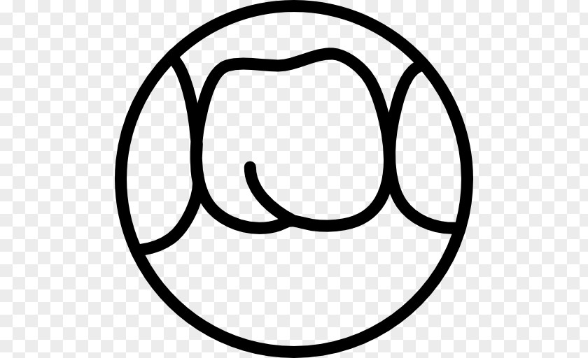 Molar Life Jackets Dentist Lifebuoy Clip Art PNG