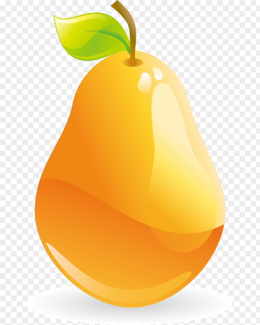 Pear Vector Material Vecteur Computer File PNG