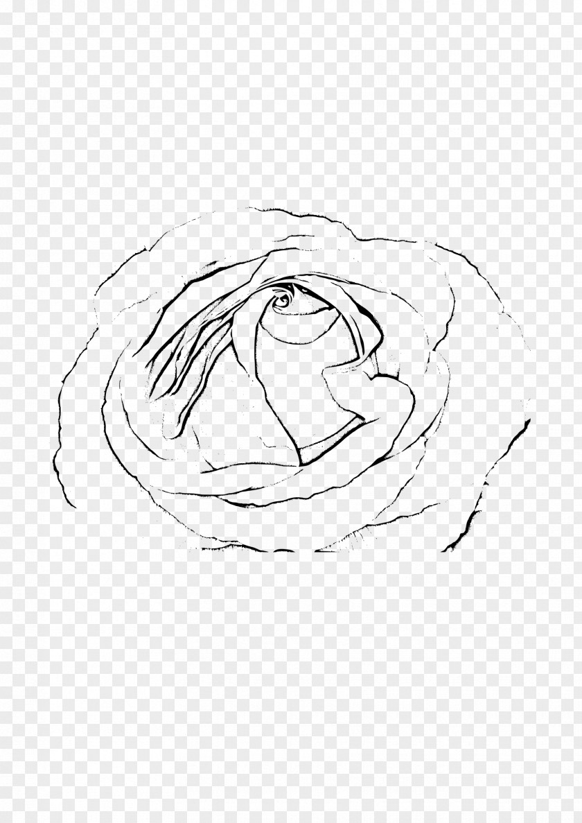 Rose Clipart Black And White Transparent Sketch PNG