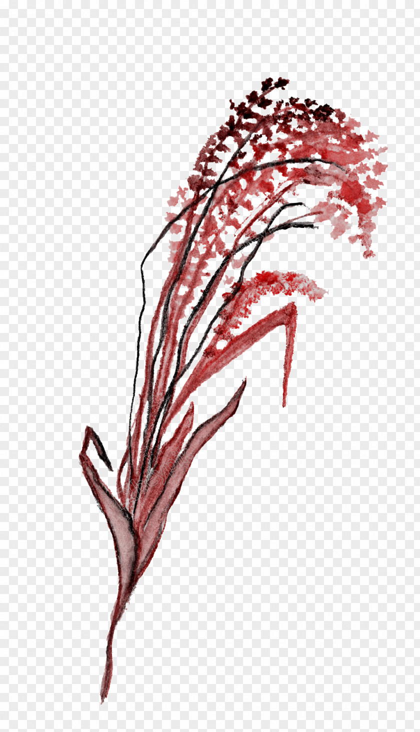 Silk Flowering Branches Black Image Red Download PNG