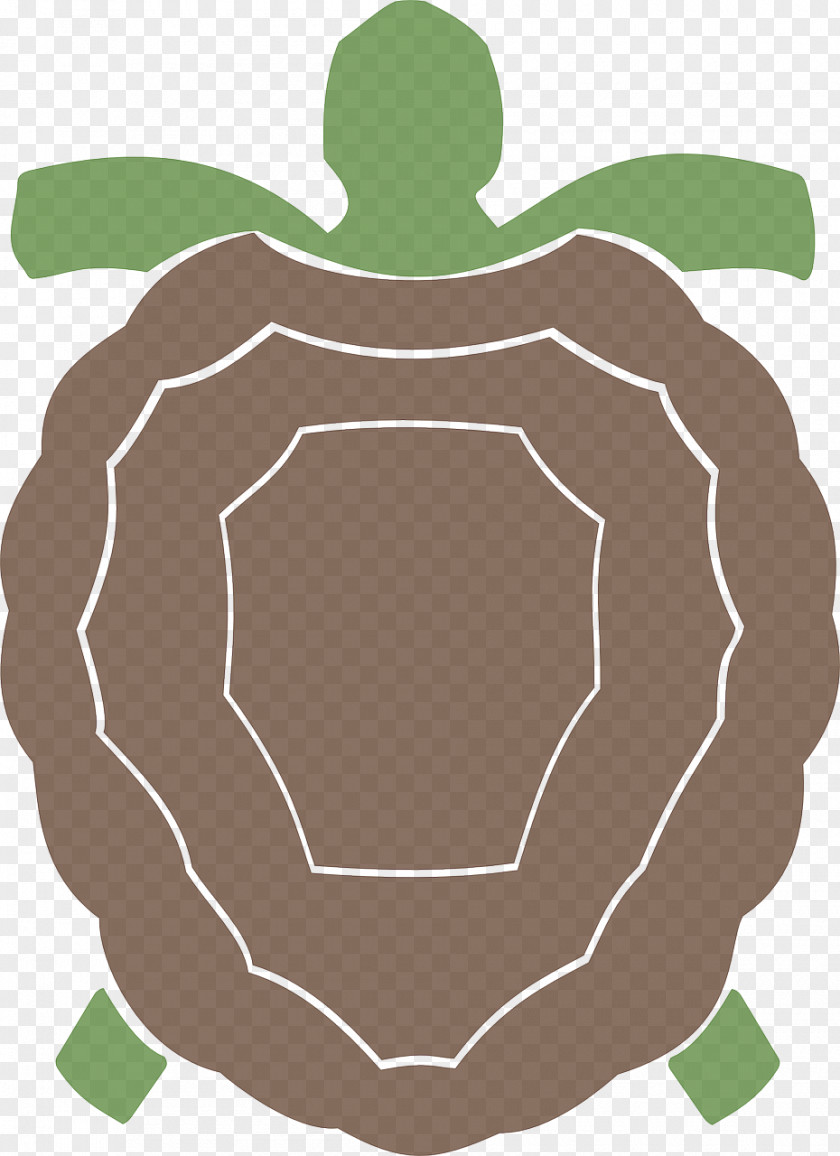 Turtle Decorative Pattern Tortoise Illustration PNG