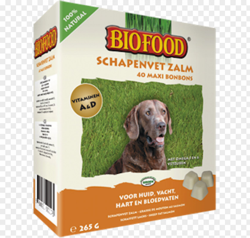 Garlic Bonbon Biofood Sheep Fat Dog Breed PNG