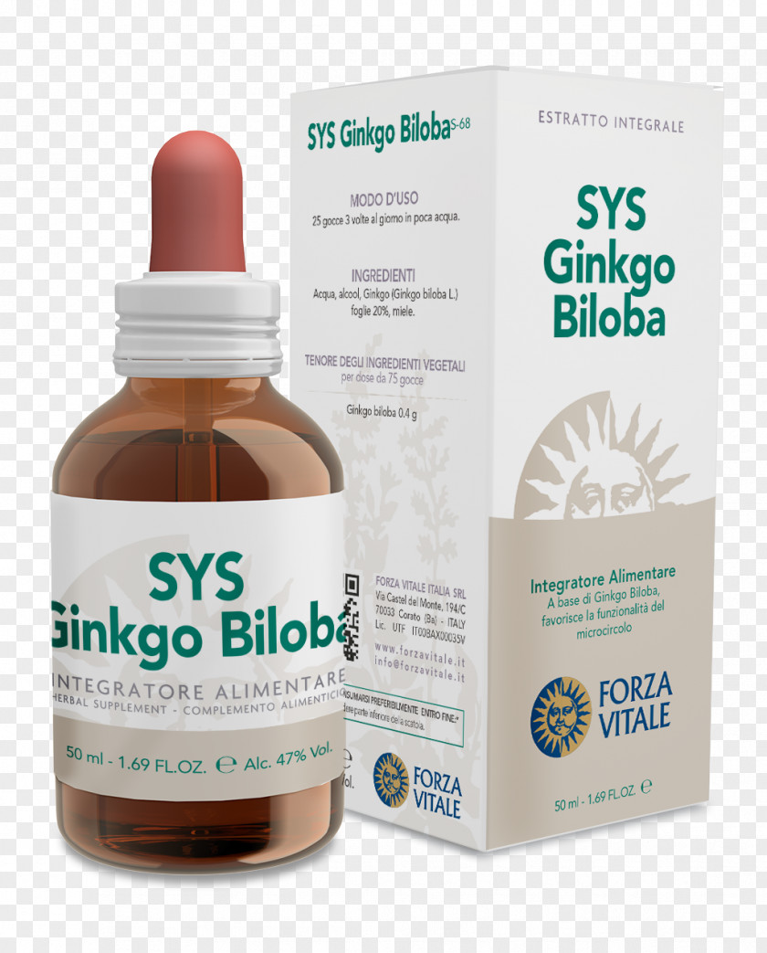 Ginkgo-biloba Dietary Supplement Herbalism Nutrient Food Echinacea Purpurea PNG