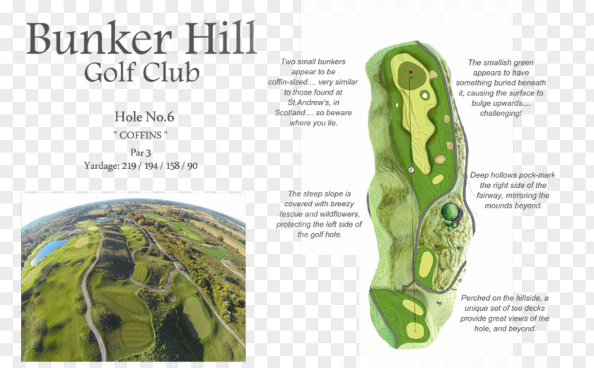 Golf Bunker Hill Club Course Hazard Hitman PNG