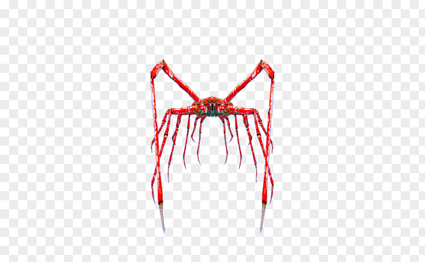 Insect Arachnid Line PNG