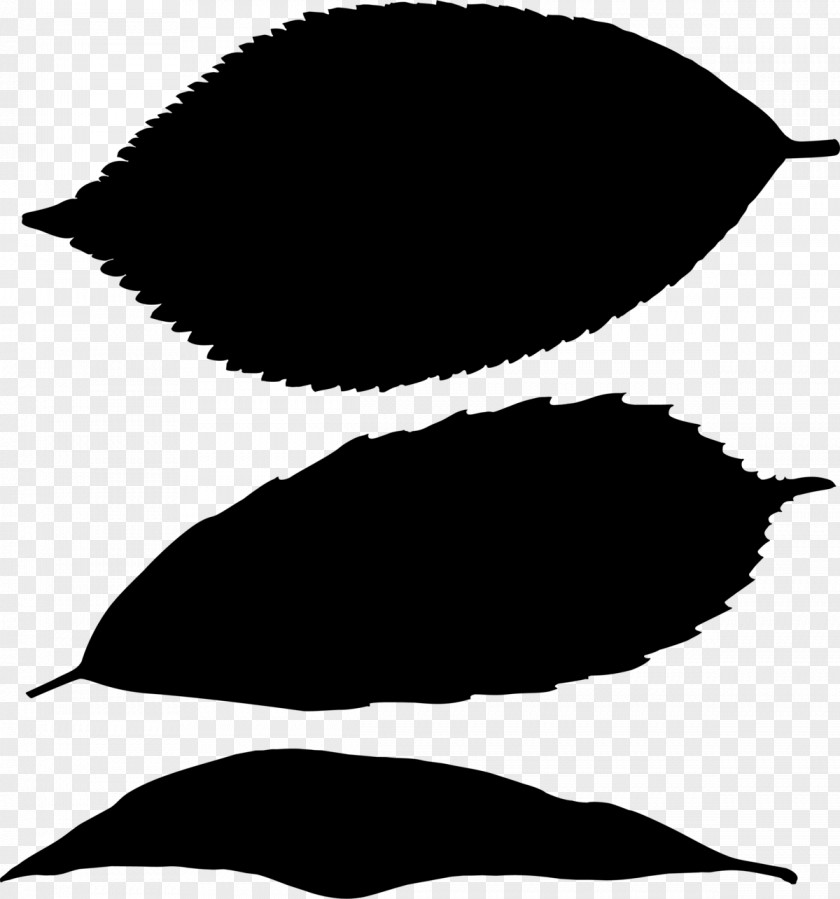M Leaf Clip Art Silhouette Line Black & White PNG