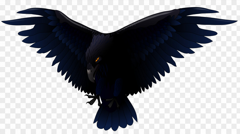 Scary Raven Vector Clipart Common Bird Euclidean Clip Art PNG