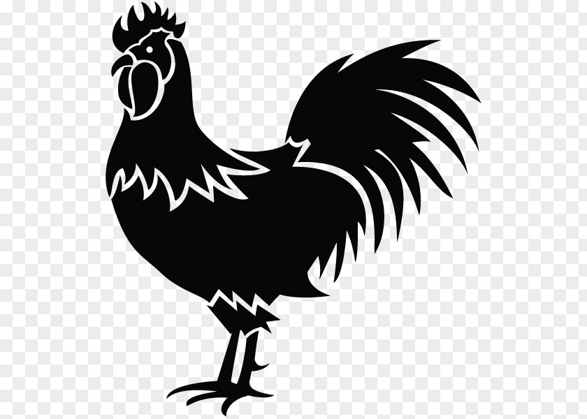 Chicken Vector Graphics Rooster Illustration Clip Art PNG