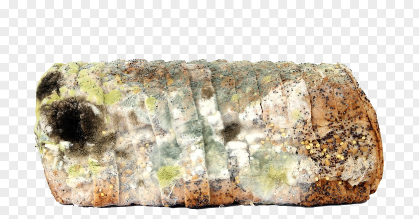Moldy Bread Rye Mold Loaf Brown PNG