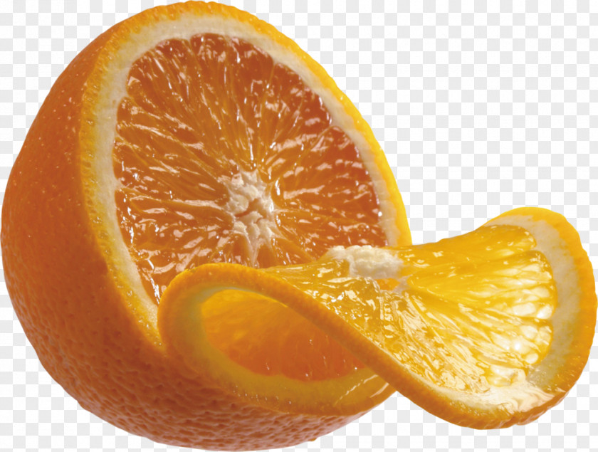 Orange Clip Art Citrus Fruit PNG