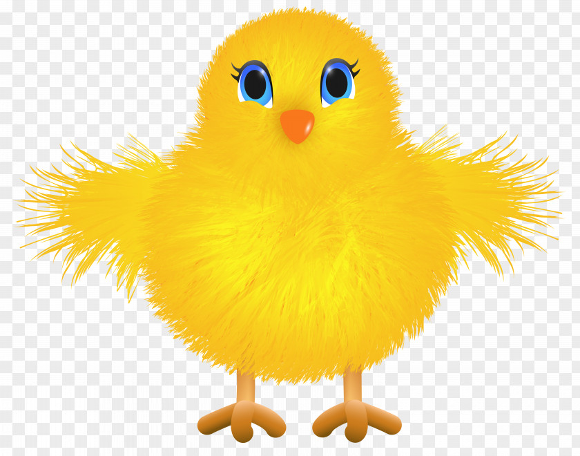 Cute Yellow Chicken Transparent Clip Art Image Yellow-hair PNG