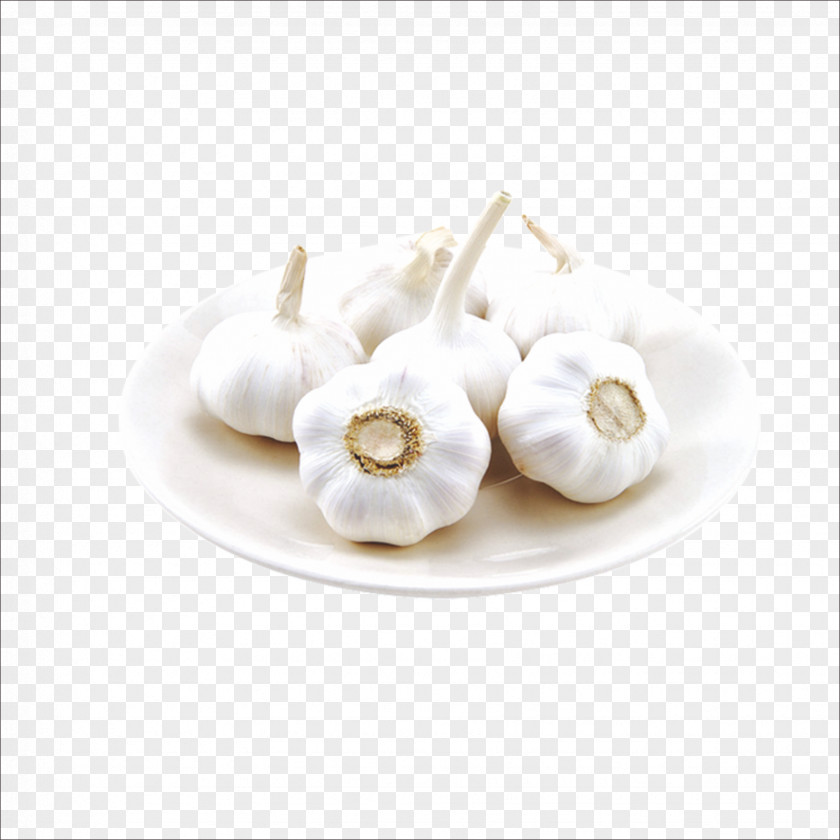 Fresh Garlic Solo Food Press Cooking Vegetable PNG