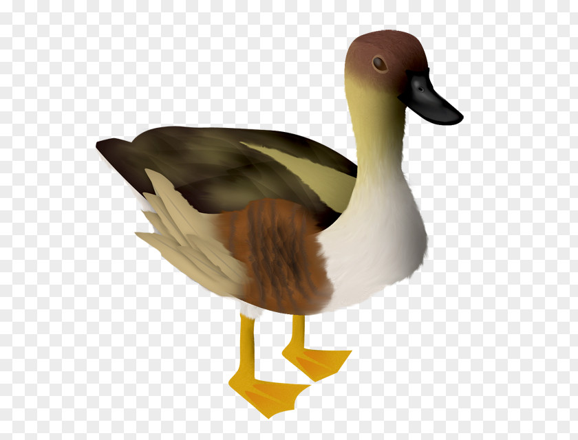 Goose PNG