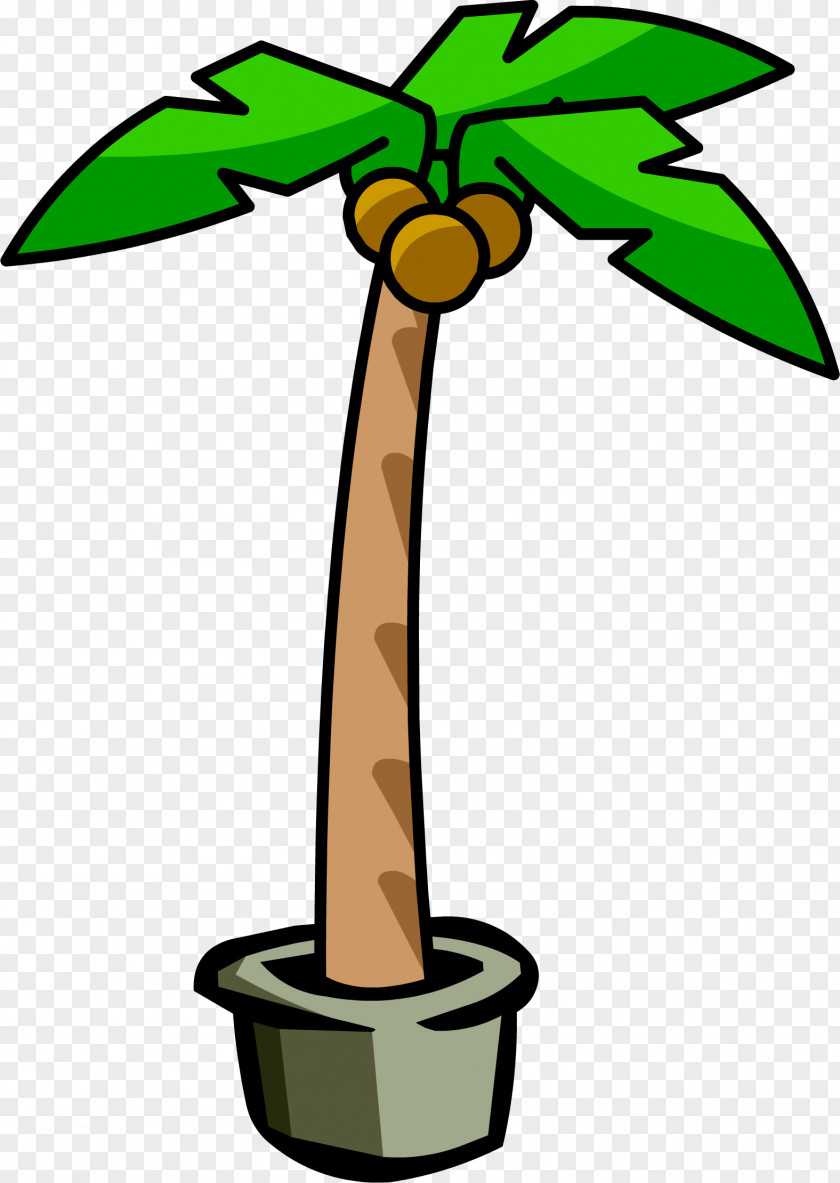 Palm Tree Club Penguin Arecaceae Clip Art PNG