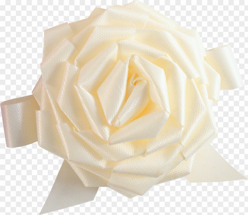 White Rose Image, Flower Picture PNG