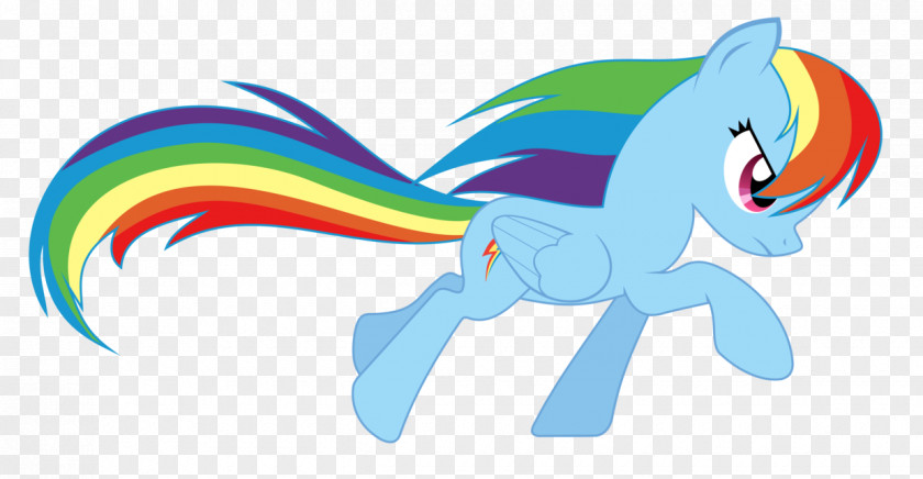 Vector Spices Rainbow Dash Rarity Twilight Sparkle My Little Pony PNG