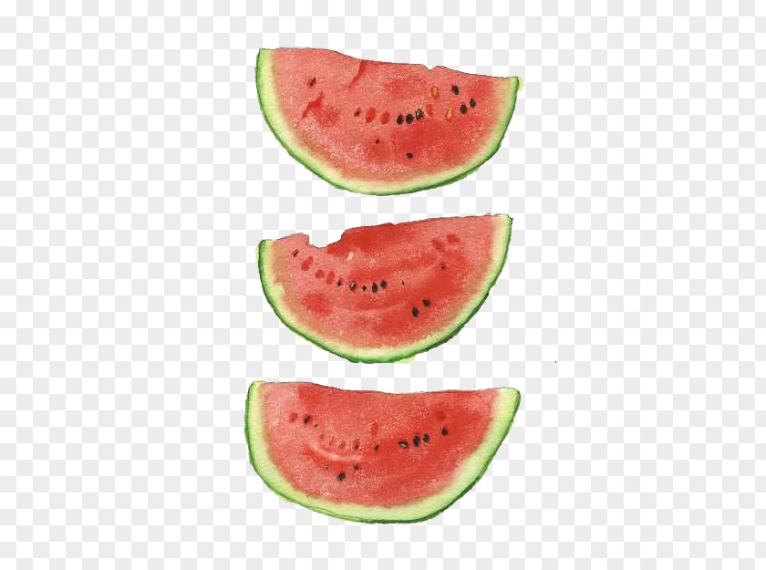 Watermelon Watercolor Painting Art Illustration PNG
