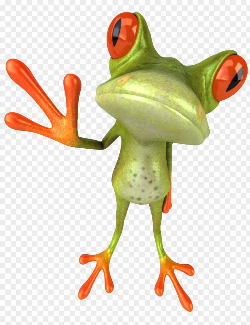 Frog Post Cards Desktop Wallpaper Clip Art PNG