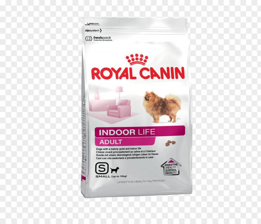 Puppy Poodle Labrador Retriever Royal Canin Dog Food Pet PNG