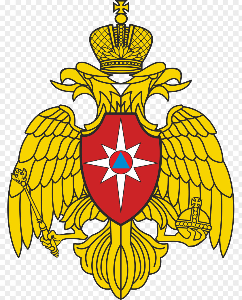 Russia Russian Soviet Federative Socialist Republic Ministry Of Emergency Situations Minister PNG