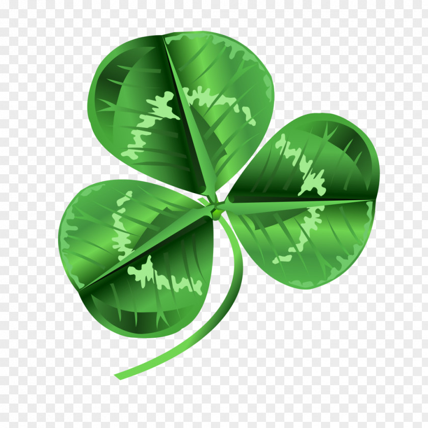 Saint Patrick's Day Shamrock Stock Photography Clover PNG