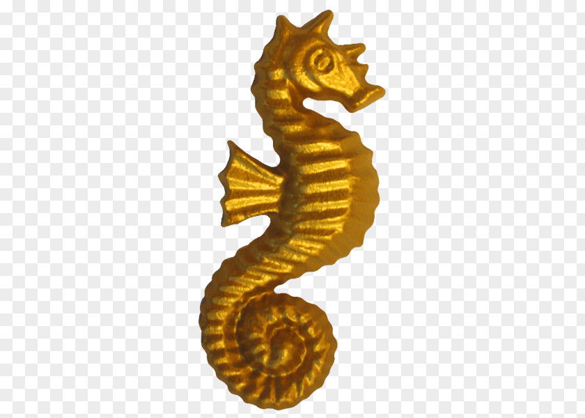 Seahorse National Museum Of American Illustration Paperweight The Lantern Bearers Illustrator PNG