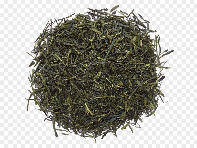 Tea Gyokuro Nilgiri Oolong Darjeeling PNG