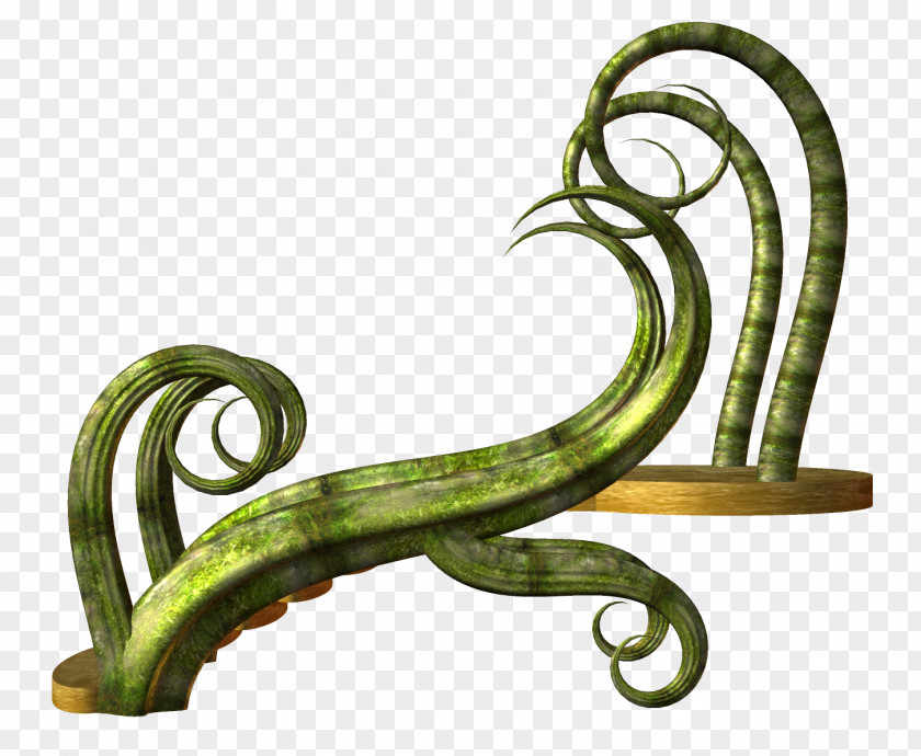 Vine Ladder Stairs PNG