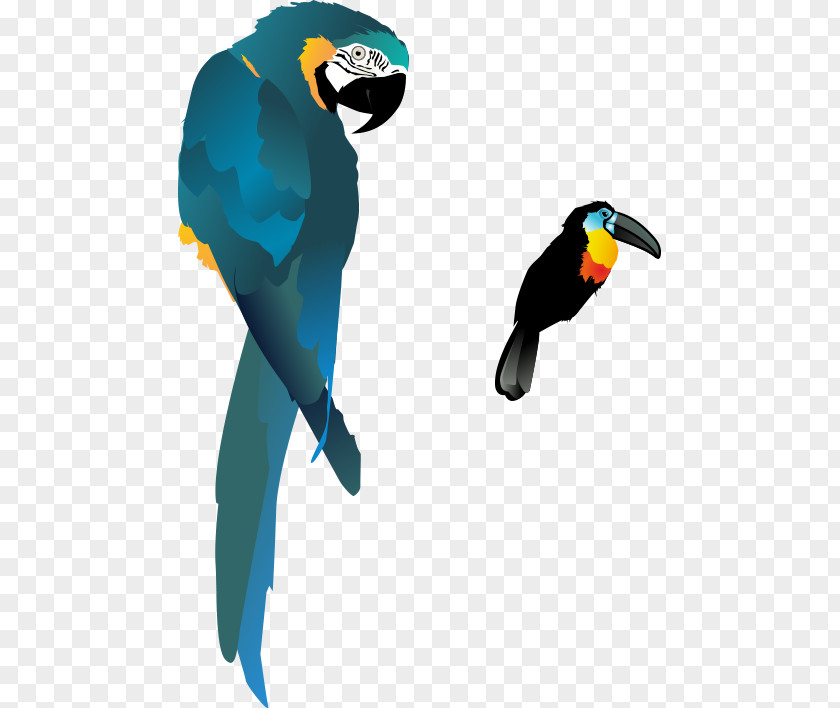 Cartoon Hand Colored Parrot Bird True Macaw PNG